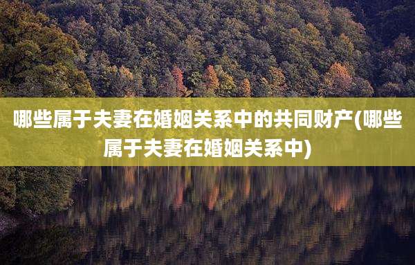哪些属于夫妻在婚姻关系中的共同财产(哪些属于夫妻在婚姻关系中)