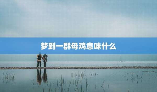 梦到一群母鸡意味什么