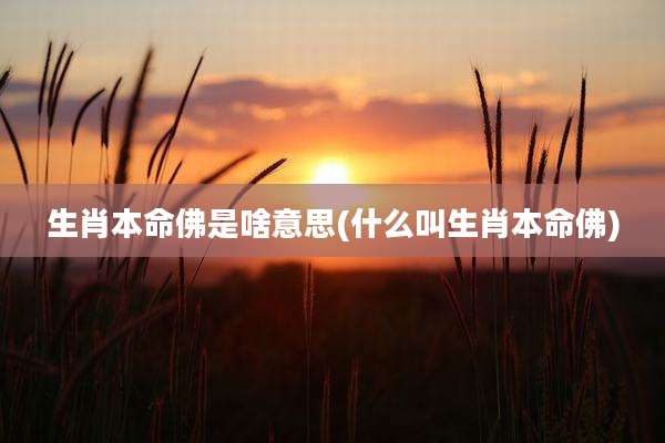 生肖本命佛是啥意思(什么叫生肖本命佛)