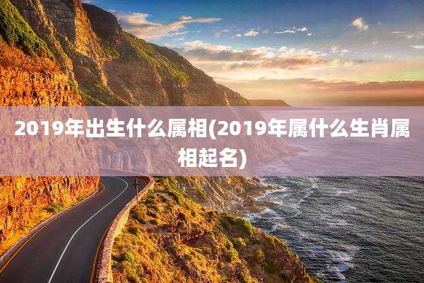 2019年出生什么属相(2019年属什么生肖属相起名)