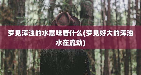 梦见浑浊的水意味着什么(梦见好大的浑浊水在流动)