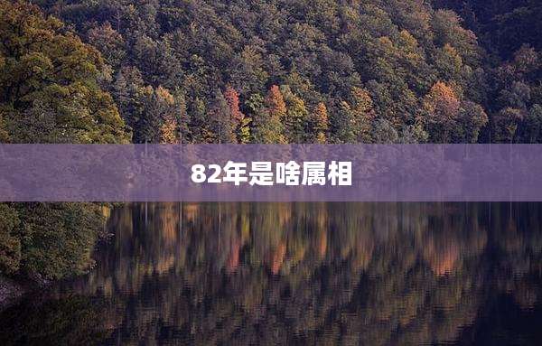 82年是啥属相