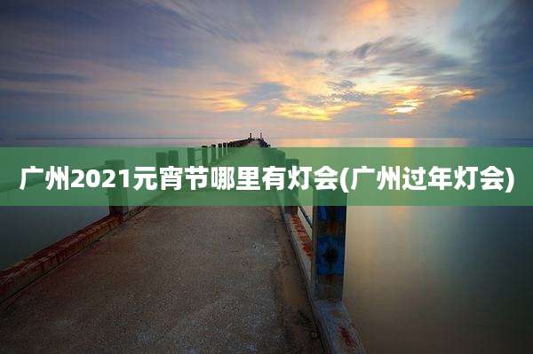 广州2021元宵节哪里有灯会(广州过年灯会)