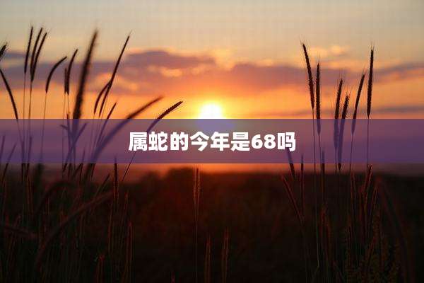 属蛇的今年是68吗
