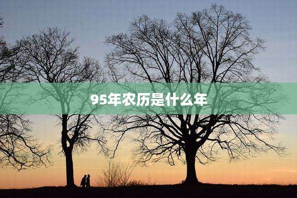 95年农历是什么年