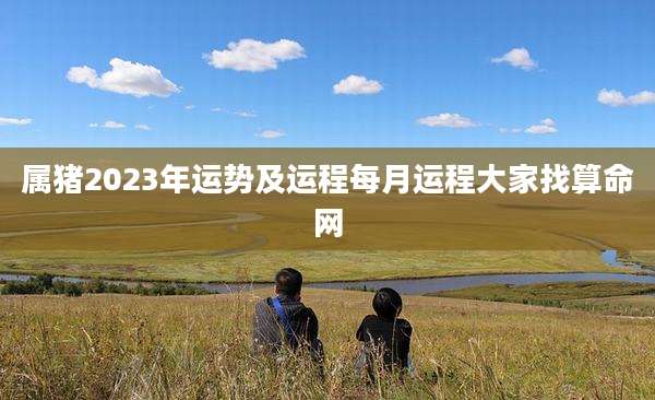 属猪2023年运势及运程每月运程大家找算命网