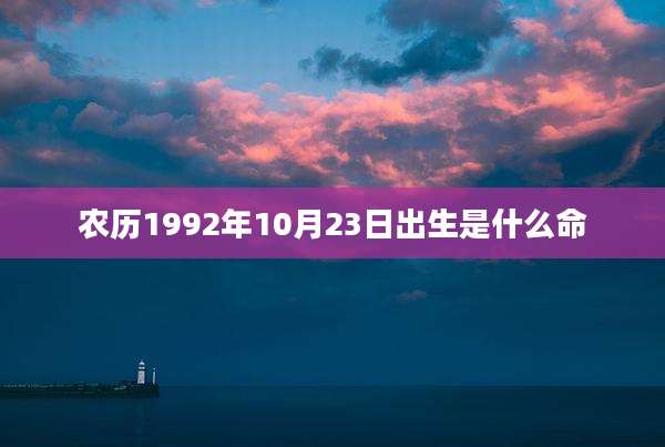 农历1992年10月23日出生是什么命