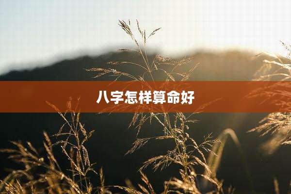 八字怎样算命好