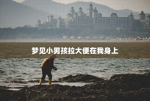 梦见小男孩拉大便在我身上