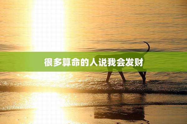 很多算命的人说我会发财