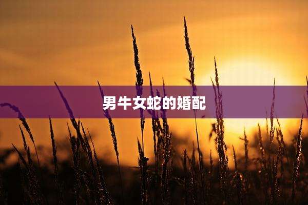 男牛女蛇的婚配