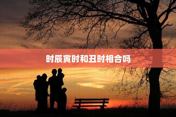 时辰寅时和丑时相合吗