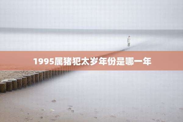 1995属猪犯太岁年份是哪一年