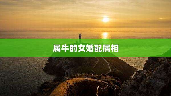 属牛的女婚配属相