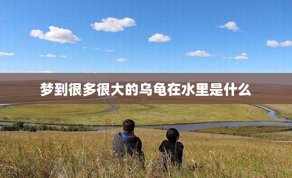 梦到很多很大的乌龟在水里是什么