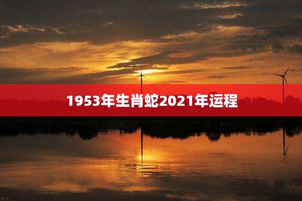 1953年生肖蛇2021年运程