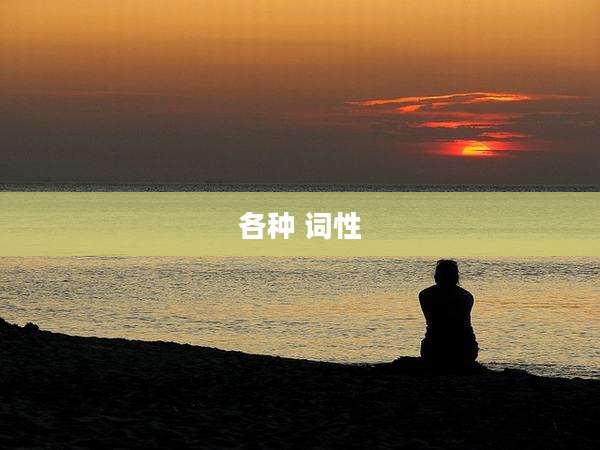 各种 词性