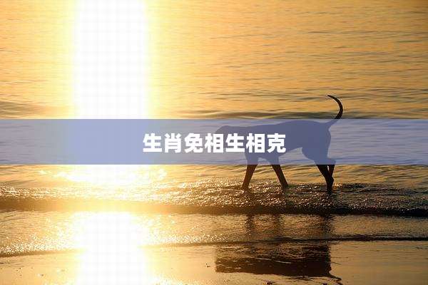 生肖免相生相克