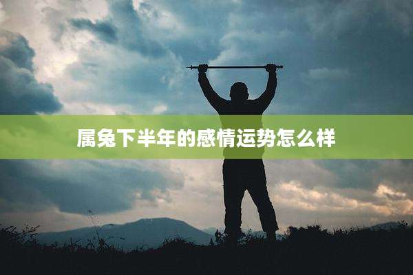 属兔下半年的感情运势怎么样