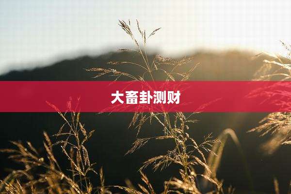 大畜卦测财