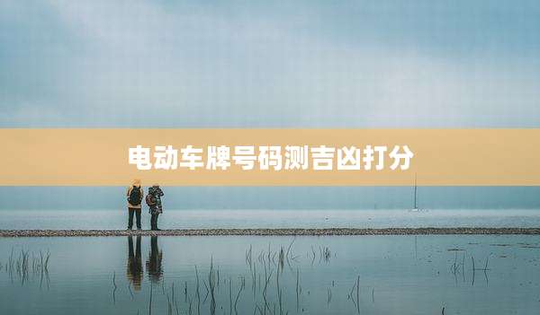 电动车牌号码测吉凶打分