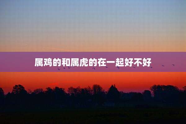 属鸡的和属虎的在一起好不好