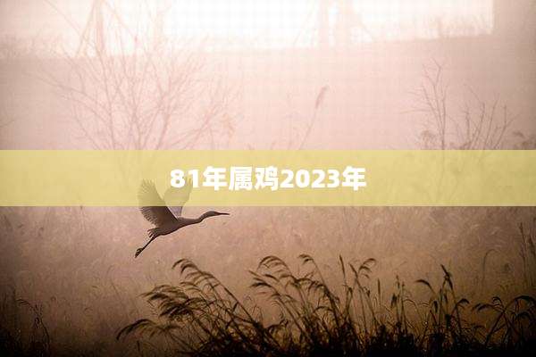 81年属鸡2023年