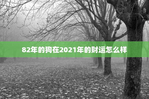 82年的狗在2021年的财运怎么样