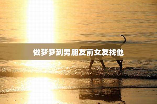 做梦梦到男朋友前女友找他