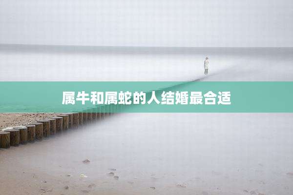 属牛和属蛇的人结婚最合适