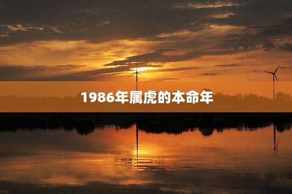 1986年属虎的本命年
