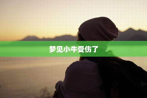 梦见小牛受伤了