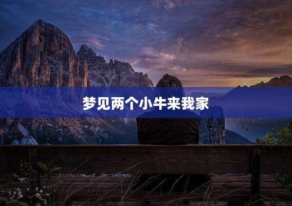 梦见两个小牛来我家