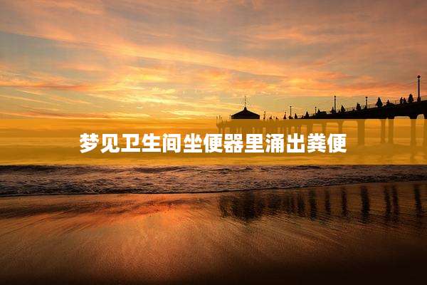 梦见卫生间坐便器里涌出粪便