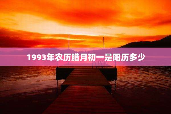 1993年农历腊月初一是阳历多少