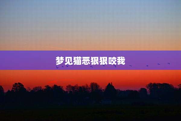 梦见猫恶狠狠咬我