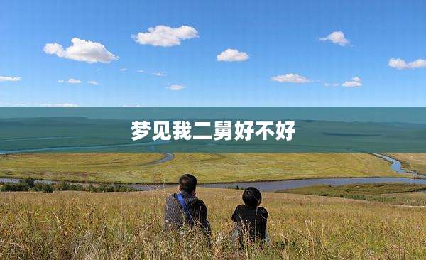 梦见我二舅好不好