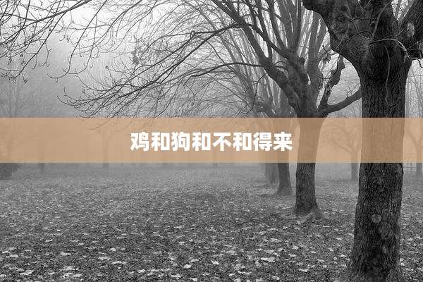 鸡和狗和不和得来