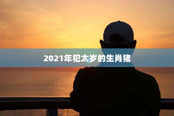 2021年犯太岁的生肖猪