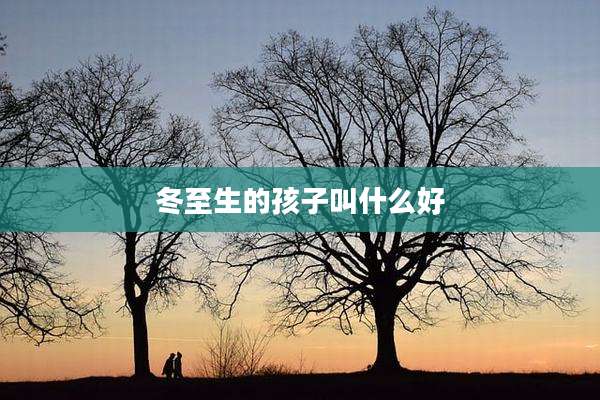 冬至生的孩子叫什么好
