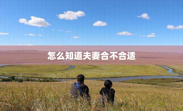 怎么知道夫妻合不合适