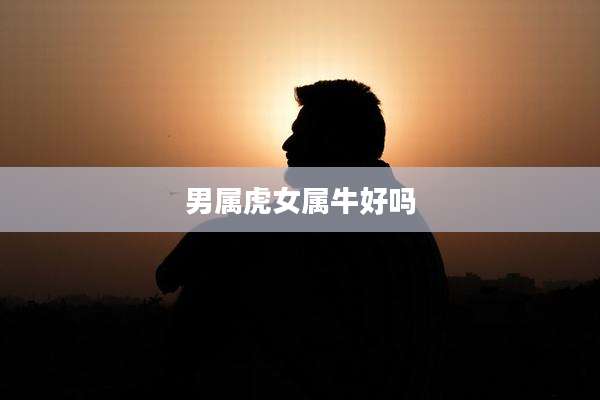 男属虎女属牛好吗