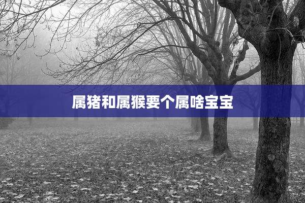 属猪和属猴要个属啥宝宝