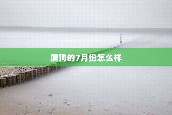 属狗的7月份怎么样