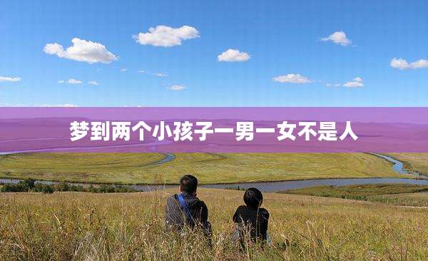梦到两个小孩子一男一女不是人