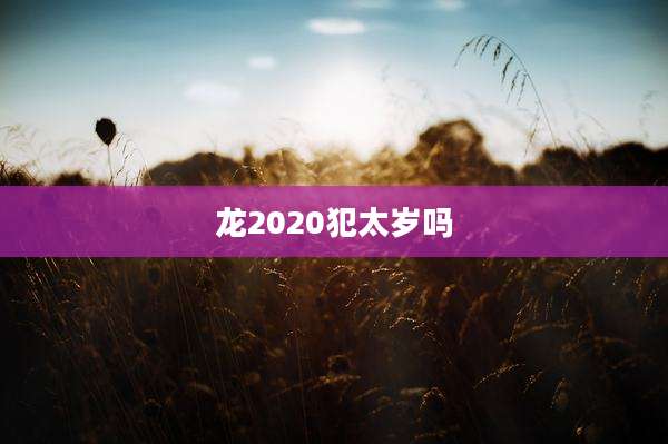 龙2020犯太岁吗