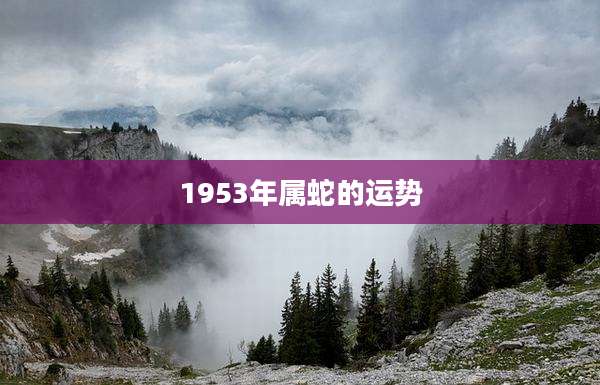1953年属蛇的运势