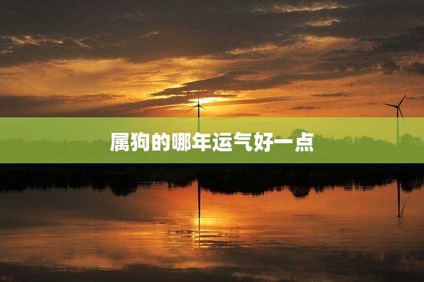 属狗的哪年运气好一点