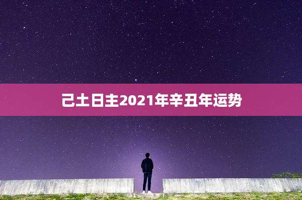 己土日主2021年辛丑年运势