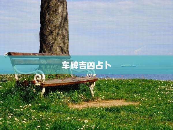 车牌吉凶占卜